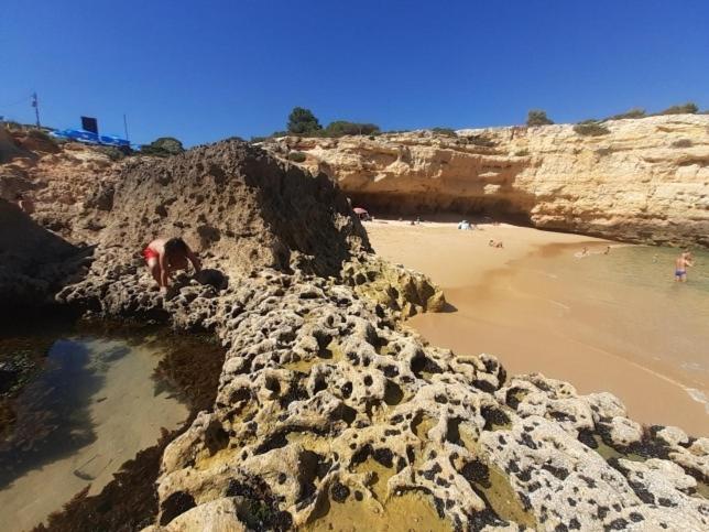 Sao Joao Sand T1 Apartment Albufeira Eksteriør billede